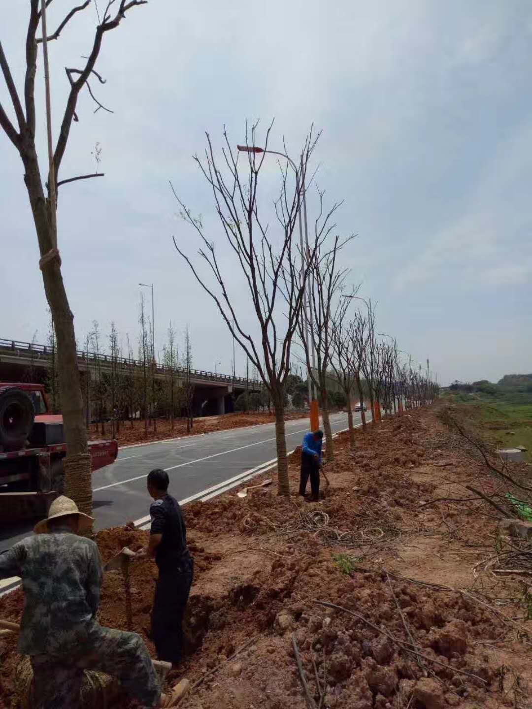 新聞中心 新聞中心