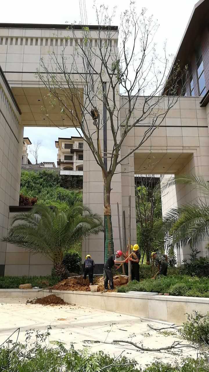 新聞中心 新聞中心