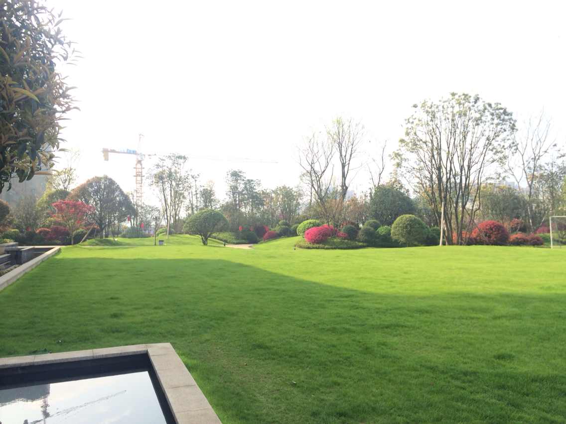 新聞中心 新聞中心