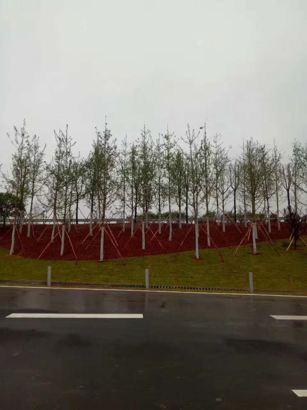 新聞中心 新聞中心