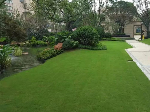 園林綠化工程施工，園林綠化養護，別墅庭院綠化