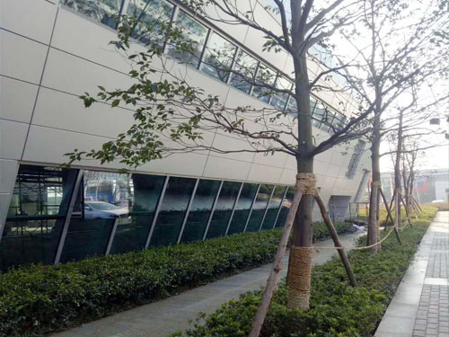 園林綠化工程施工，園林綠化養(yǎng)護(hù)，別墅庭院綠化