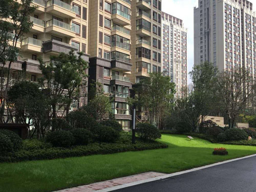 園林綠化工程施工，園林綠化養護，別墅庭院綠化