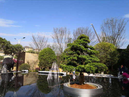 園林綠化工程施工，園林綠化養護，別墅庭院綠化