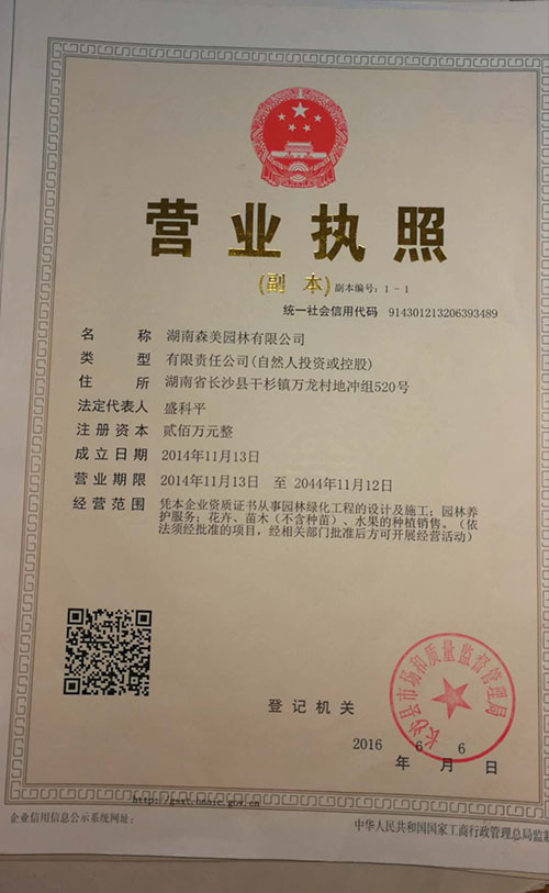 園林綠化工程施工，園林綠化養護，別墅庭院綠化