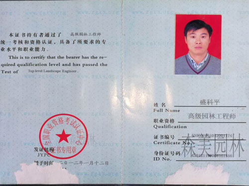 園林綠化工程施工，園林綠化養護，別墅庭院綠化